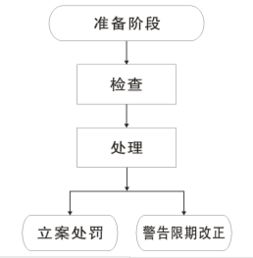 計劃生育技術服務工作定期檢查流程圖解析及網絡技術服務支撐